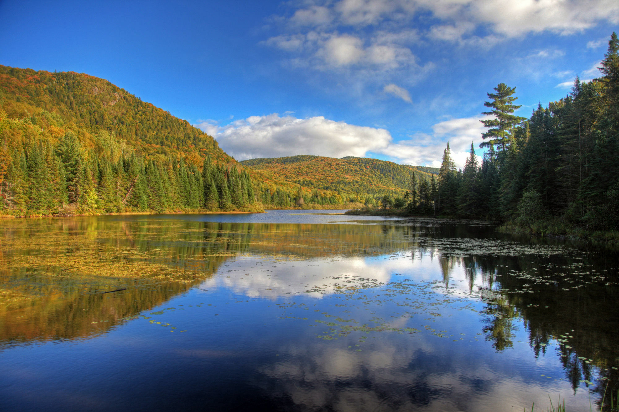 Hotel Vacances Tremblant Mont-Tremblant Ngoại thất bức ảnh